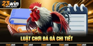 Luật Chơi Đá Gà 23WIN Chi Tiết Dành Cho Tân Binh Từ A-Z