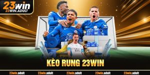Kèo Rung Là Gì? Cách Bắt Kèo Cực Chuẩn Nhất Trên 23Win